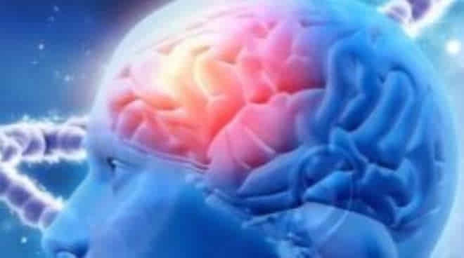 رئيسة جمعية مكافحة مرض الزهايمر: دواء علاجي لمرض الزهايمر يتحصل على رخصة الترويج في السوق الاوروبية مما يسهل دخوله الى تونس