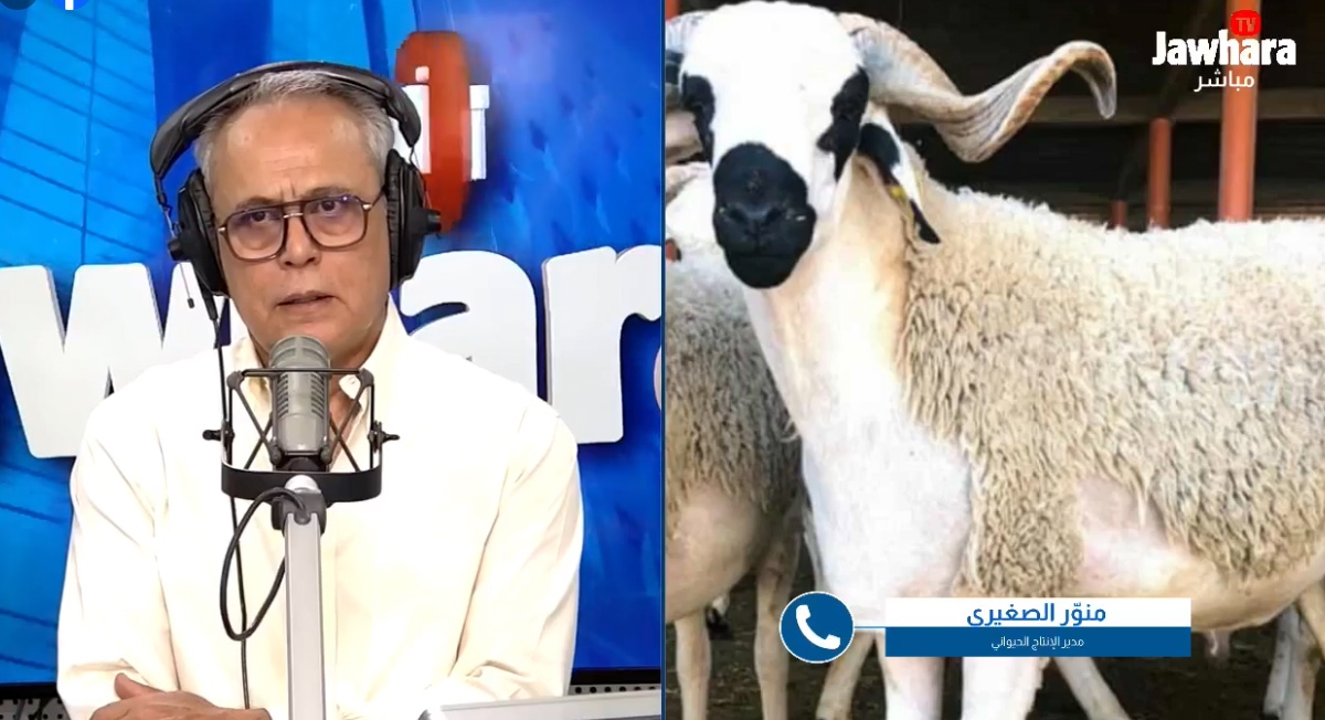 اتحاد الفلاحة: أضاحي العيد متوفرة والأسعار ستُحدد لاحقًا وفق العرض والطلب