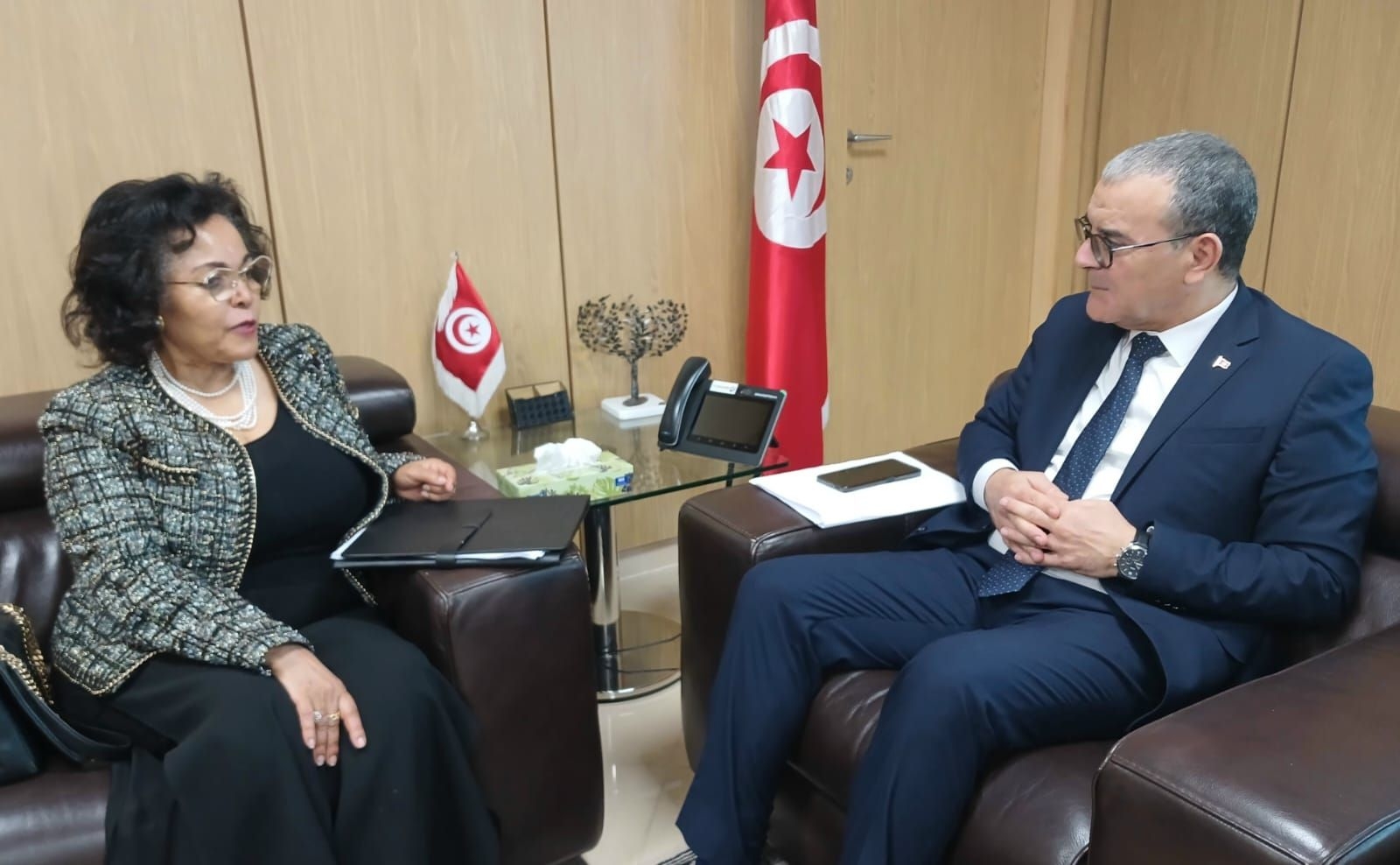 وزير الإقتصاد يجتمع بالمديرة التنفيذية لوكالة الإتحاد الأفريقي للتنمية.