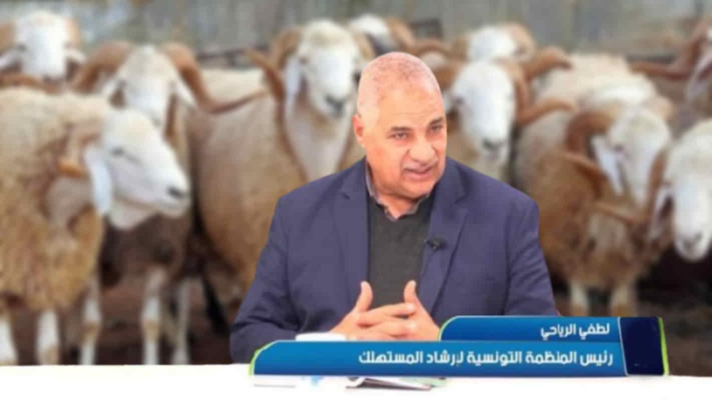 لطفي الرياحي: أسعار الأضاحي مشطّة والوزارة مطالبة بتحديد أسعار بيع اللحوم بالتفصيل