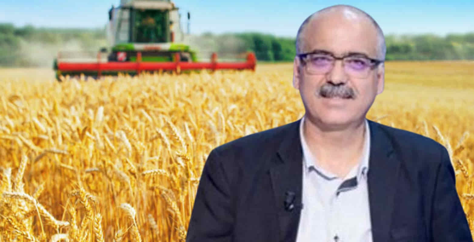 "الحصاد تحت السيطرة": موسم الحبوب في تونس يسجّل أرقامًا مطمئنة رغم الصعوبات المناخية