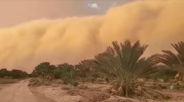 عاصفة رملية في قبلي وأمطار غزيرة بعدة مناطق
