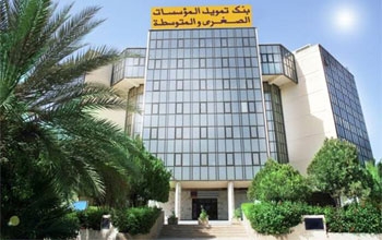 بنك تمويل المؤسسات الصغرى والمتوسطة يراكم خسائر ب 126 مليون دينار (قائمات مالية)
