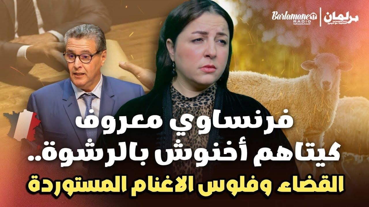 آش غا يقول القضاء فلملاير الأغنام المستوردة (فيديو)
