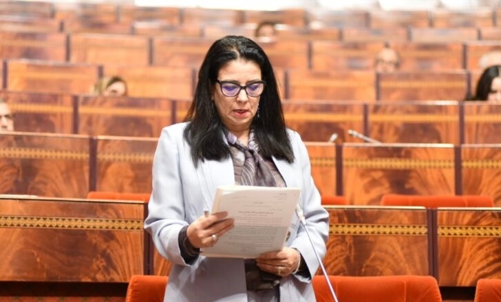 "جيتكس إفريقيا 2025" من خلال تعقيبات بمجلس النواب.. رصد للمكاسب وتقدير للنجاح المحقّق