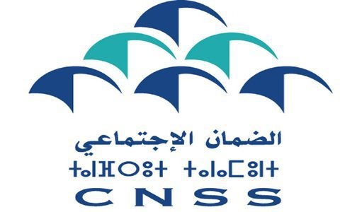 هجوم سيبيراني على الـ"CNSS": التحقيقات الأولية بشأن الوثائق المسربة مكنت من الوقوف على طابعها المضلل في كثير من الأحيان وغير الدقيق أو المبتور