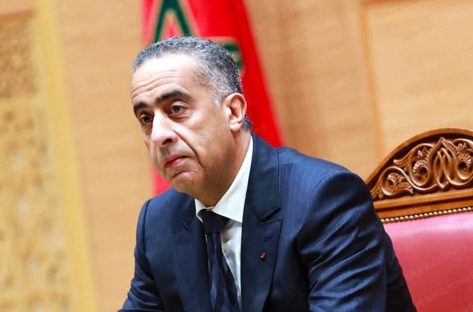 حموشي: المديرية العامة للأمن الوطني تولي أهمية خاصة لدعم مساعي مجابهة الجرائم الماسة بالثروة الغابوية