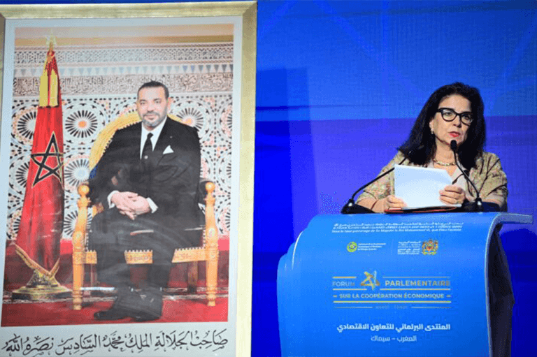 من العيون.. الوزيرة السغروشني تُبرز ريادة المغرب الرقمية وتعلن احتضان المملكة لمقر المركز الإقليمي العربي-الإفريقي للتنمية الرقمية (صور)