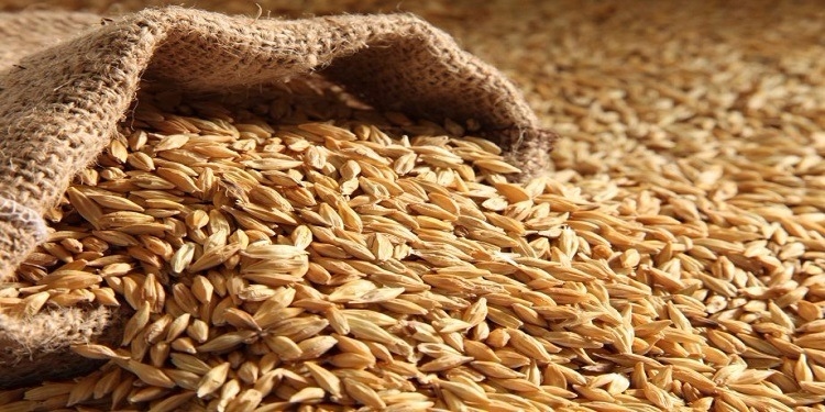 المغرب يراجع استراتيجيته الغذائية ويخفض وارداته من القمح الروسي بـ88% في يوليوز
