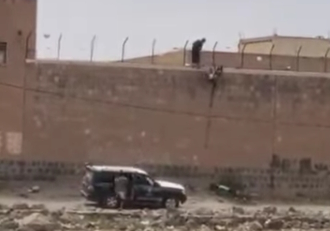 عملية تهريب منظمة لسجناء في إصلاحية ذمار.. واتهامات بتورط قيادات حوثية رفيعة -[فيديو]