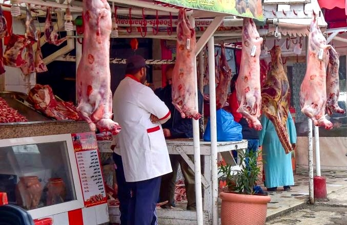 بعد حمى العيد.. أسعار اللحوم تنهار و"الدوارة" تتراجع