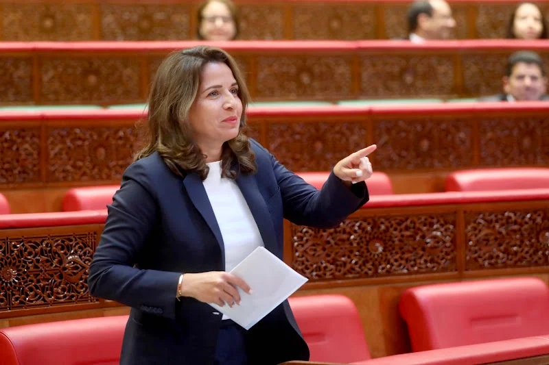 هل سينعكس على المواطنين؟.. بنعلي تستعرض خارطة طريق تطوير البنية التحتية للغاز الطبيعي بالمغرب