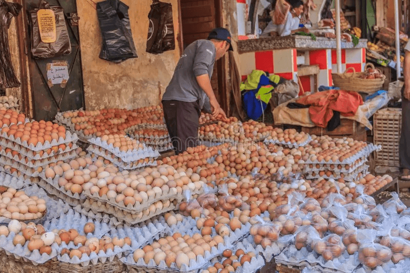 أسعار البيض ترتفع من جديد