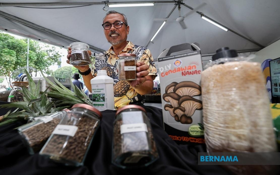 LPNM Plans Five Pineapple Waste Processing Centres Under 13MP