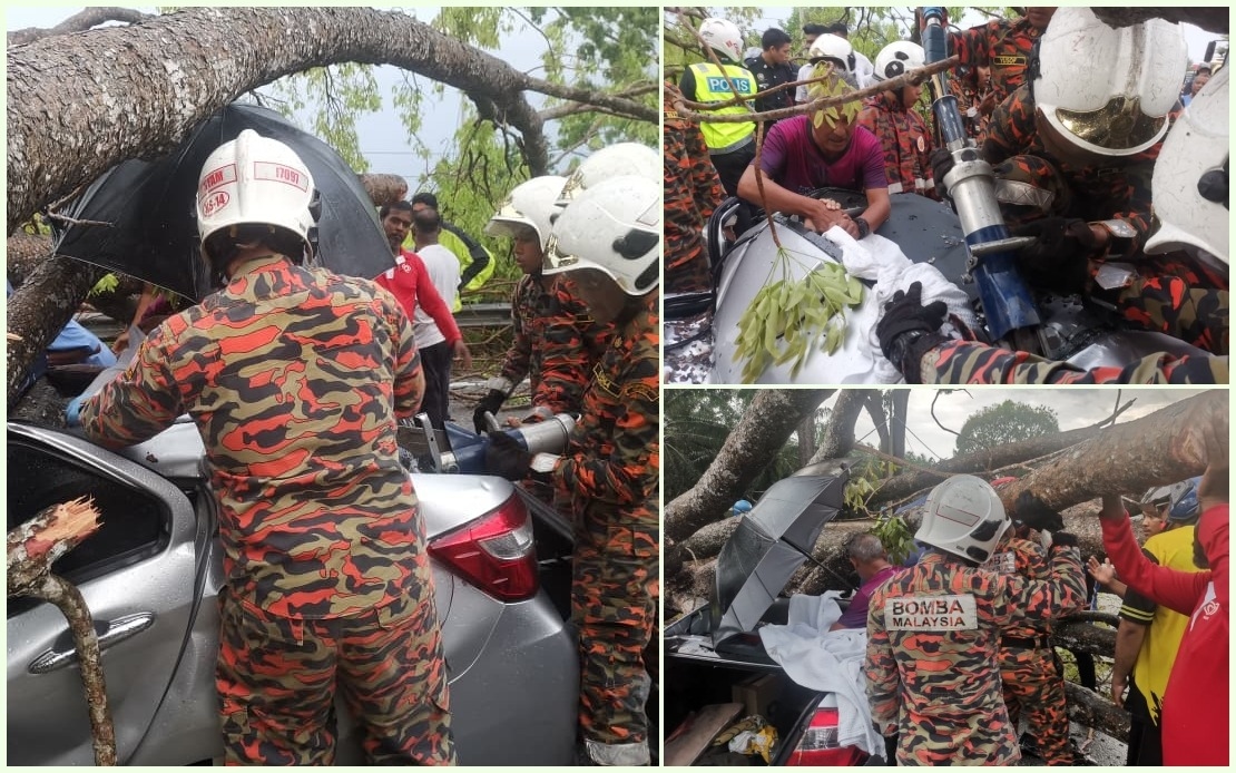 Family Of Three Escaped Unharmed After Car Crushed By Falling Tree