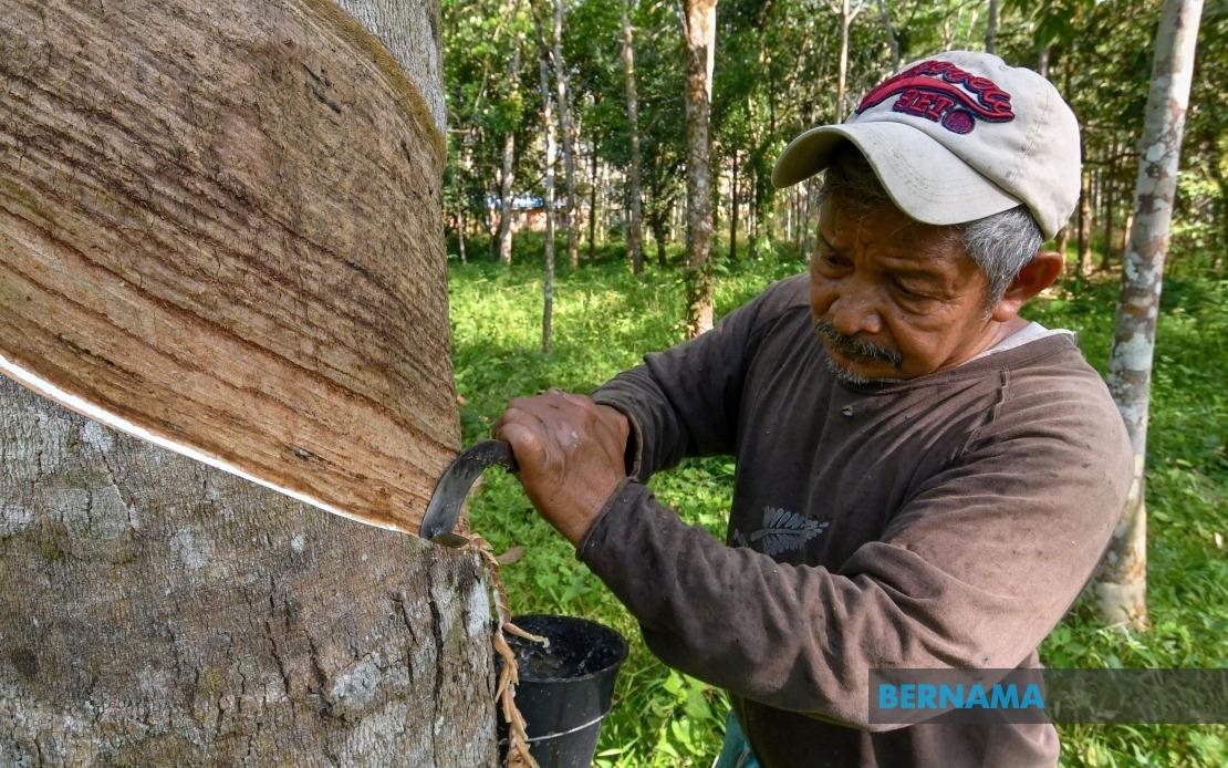 Rubber Market Ends Higher Amid Easing US-China Trade Tensions