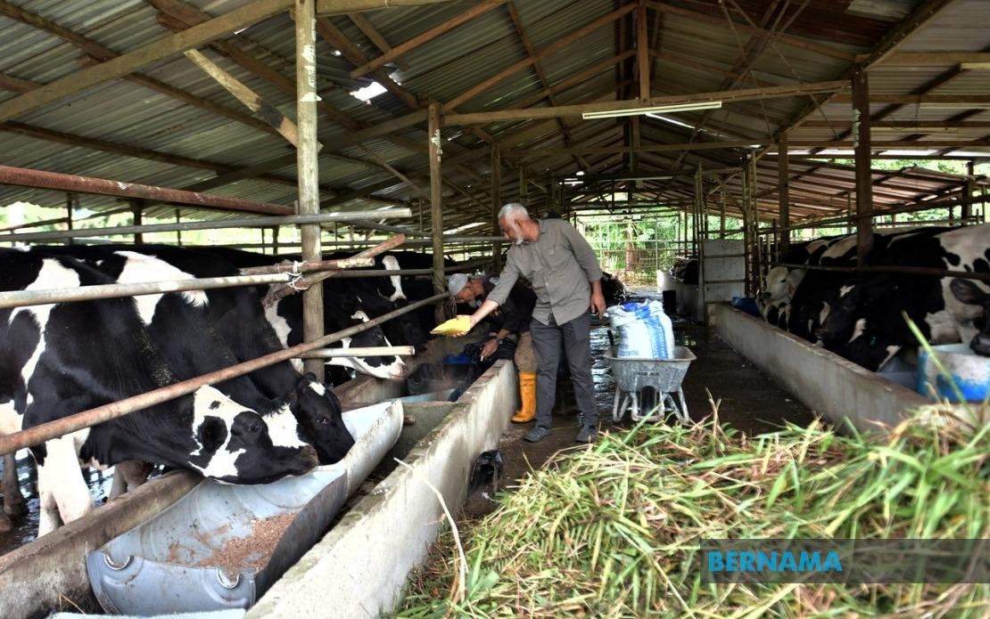 Terengganu Records 73,051 Agricultural Holdings In 2023