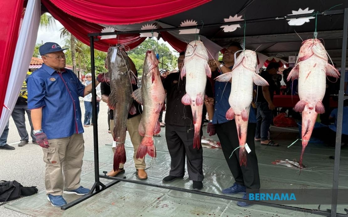 Over 4.4 Tonnes Of Invasive Fish Removed From Local Waters Since 2022