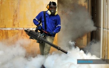 Melaka Records 530 Dengue Cases