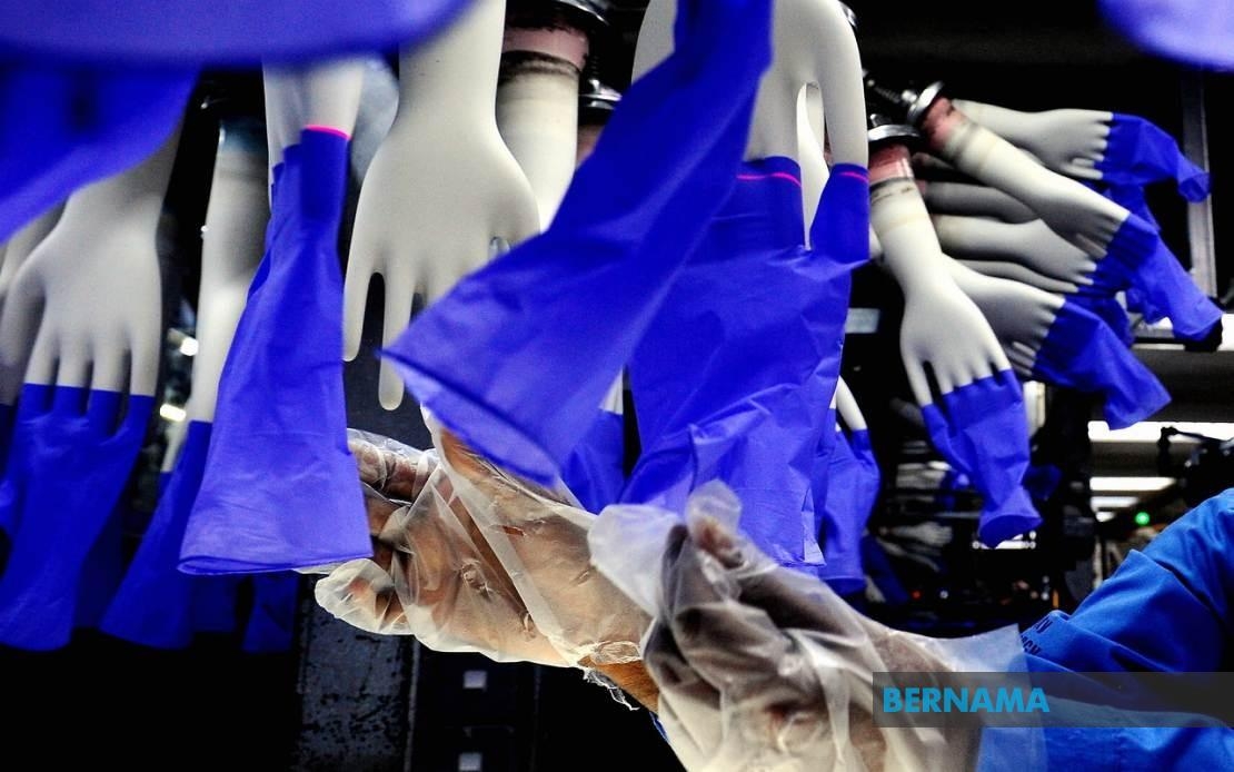 Only Locally Produced Rubber Gloves Allowed For Export