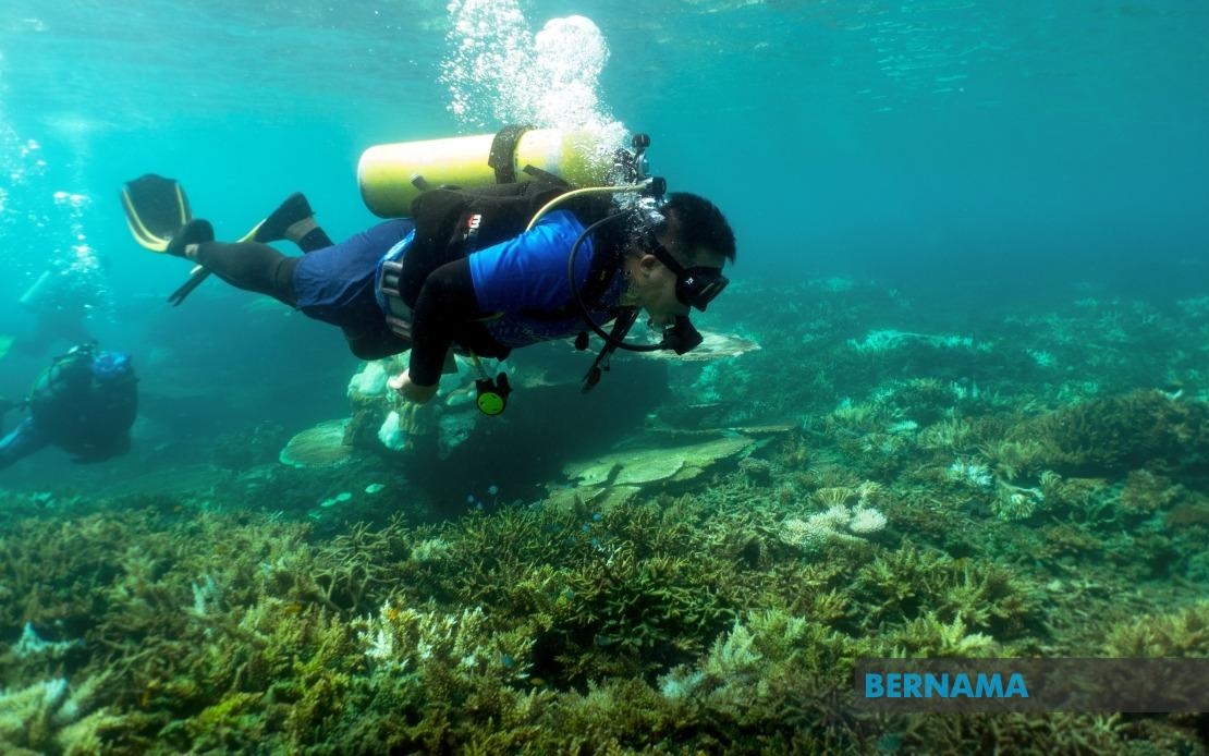 Earth Day 2025: Fisheries Research Institutes Strengthen Marine Conservation Efforts