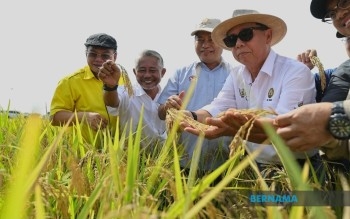 Sarawak Focusing On Developing Comprehensive Agriculture Supply Chain