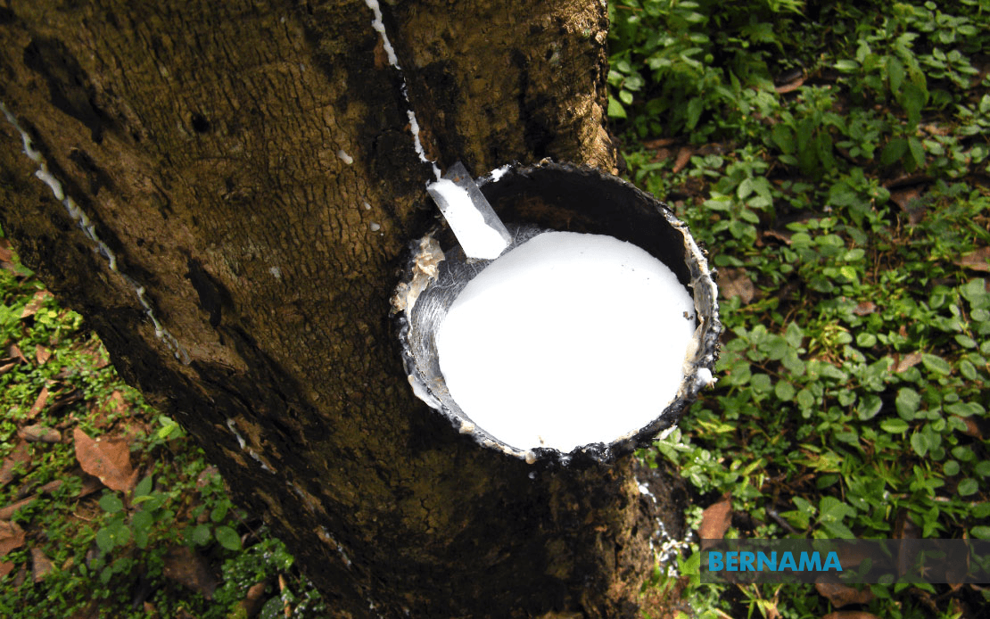Rubber Market Ends Mixed Amid Lower Oil Prices, Stronger Ringgit
