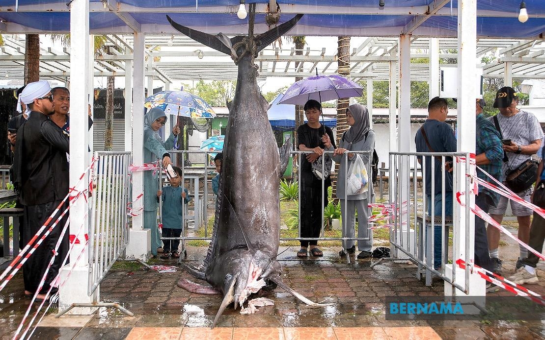 Rare Black Marlin Catch Sets New Milestone At LISC 2025 Flagship Event