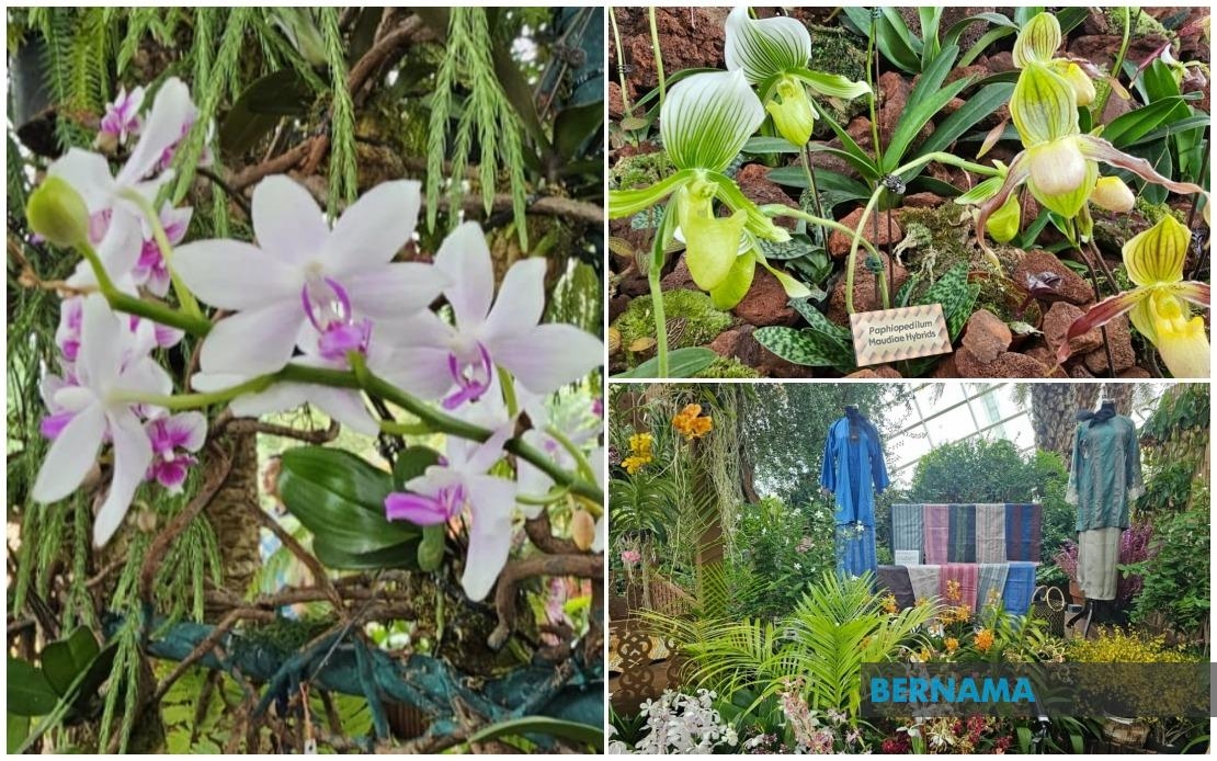 Pesona Anggerik At Gardens By The Bay Marks 60 Years Of Malaysia-Singapore Ties