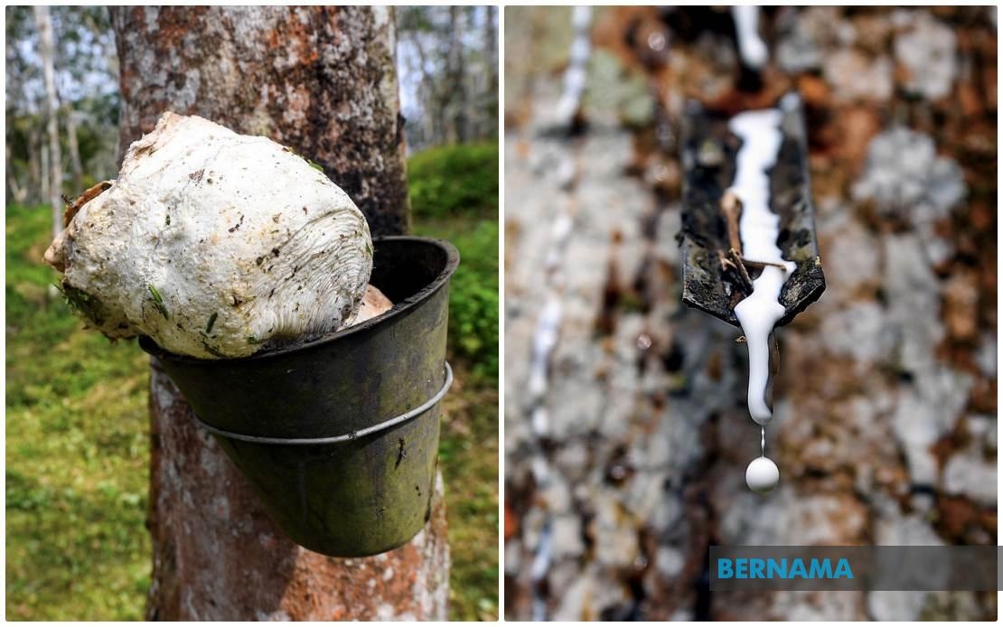 Rubber Market Ends Higher On Raw Material Shortage Concerns