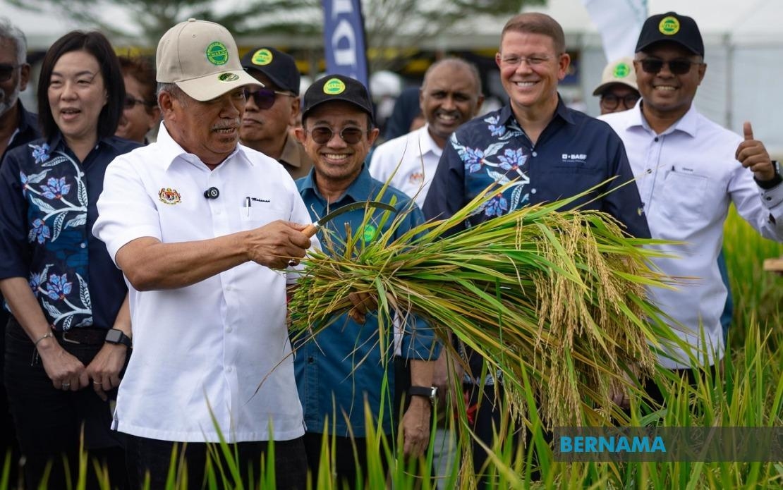 Cloud Seeding To Be Carried Out To Address Dry Padi Fields