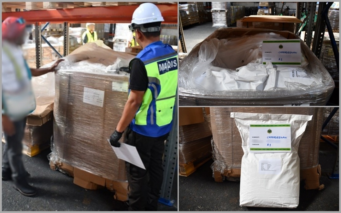 Penang MAQIS Seizes 1.02 Tonnes Of Seaweed Extract From China