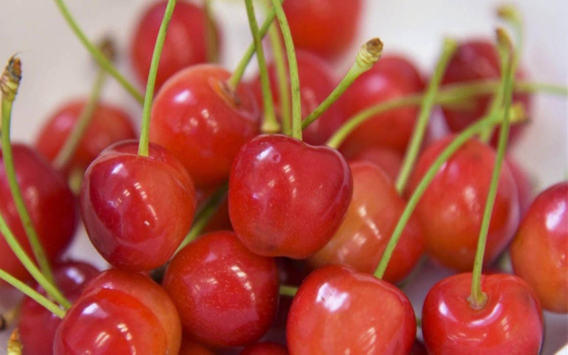 200 Kg Of Cherries Worth 1 Million Yen Stolen In Northeastern Japan