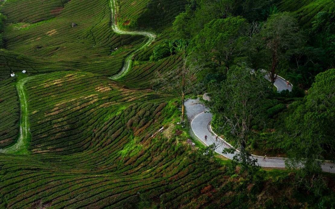 Cultra's Brutal Beauty Draws Runners From Across The Globe