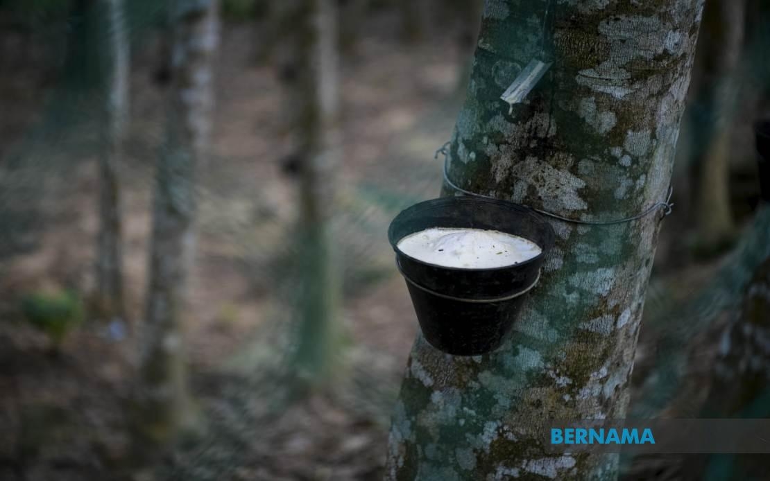 Rubber Market Ends Lower Due To Weaker Oil Prices, Stronger Ringgit