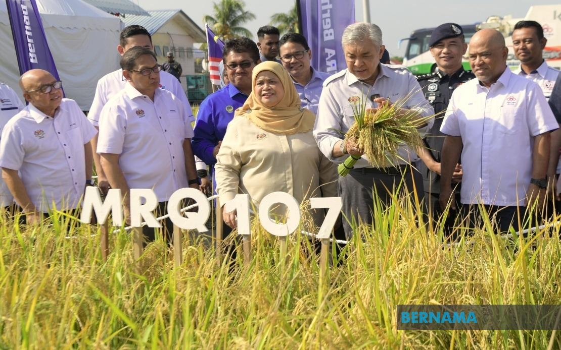 Felcra Posts RM178 Mln Profit, To Disburse Rm101 Mln As First Interim Distributable Income