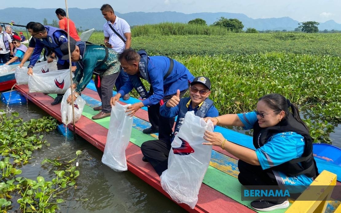 40,000 Catfish Fish Fry Released In Timah Tasoh To Boost Recreational Fishing In Perlis