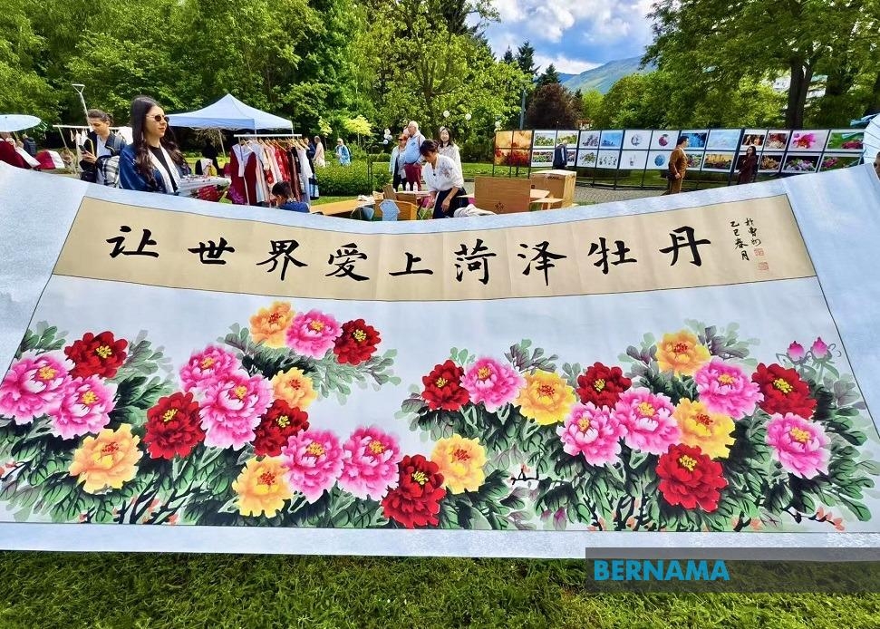 Peony Blossom Celebration: A Springtime Cultural Gathering Enchants Bulgaria