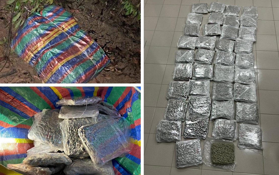 GOF Seizes Cannabis Flowers Worth RM690,000 In Padang Besar