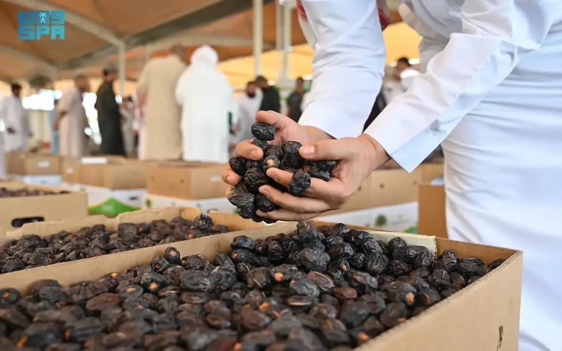 Madinah Ranks Third in Saudi Arabia's Date Output, Touted as Investment Hub