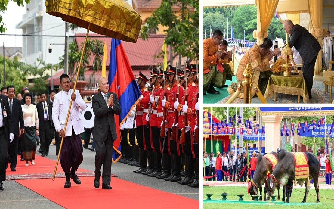 Ancient Ploughing Ceremony Adds Festivity To Southeast Asian Rice Farming