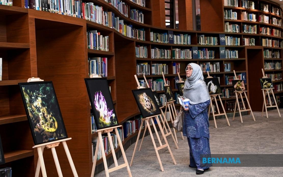 Echoes Of The Deep Exhibition Raises Public Awareness On Marine Life Protection