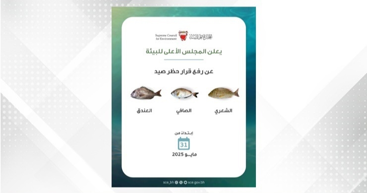 SCE announces lifting fishing ban of Safi, Shaari, Andag fish
