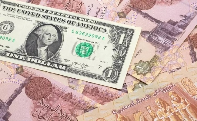 توقعات بمزيد من الانخفاض في سعر الدولار أمام الجنيه المصري خلال الفترة المقبلة