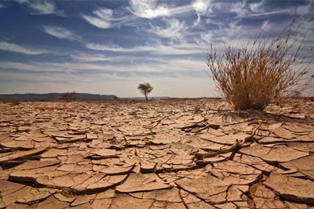 Geospatial Week 2025 highlights global climate solutions