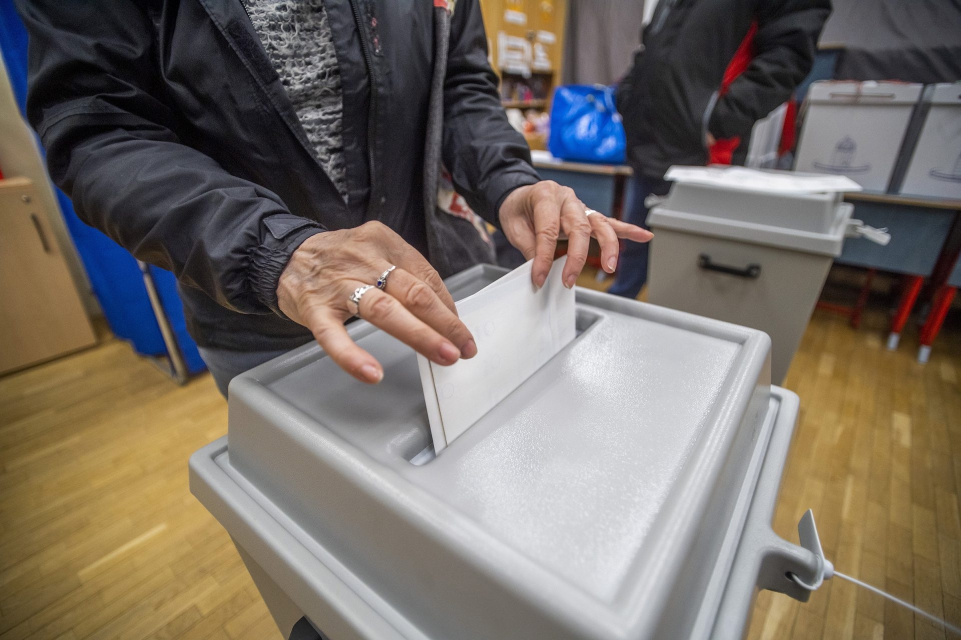 Németh: Georgia election was in line with democratic norms