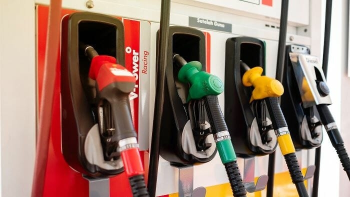 Government May Delay Subsidy Reforms: CGS