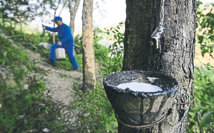 Rubber Production Drops 20.3% MoM In March