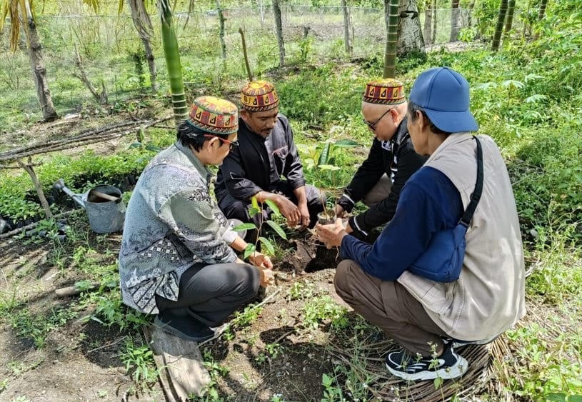 People Power Drives Southeast Asia's Forest Revival