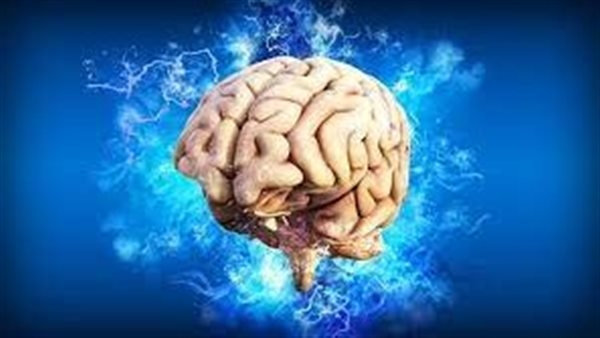 أطعمة تساعد على علاج الإرهاق الذهني ودعم صحة الدماغ